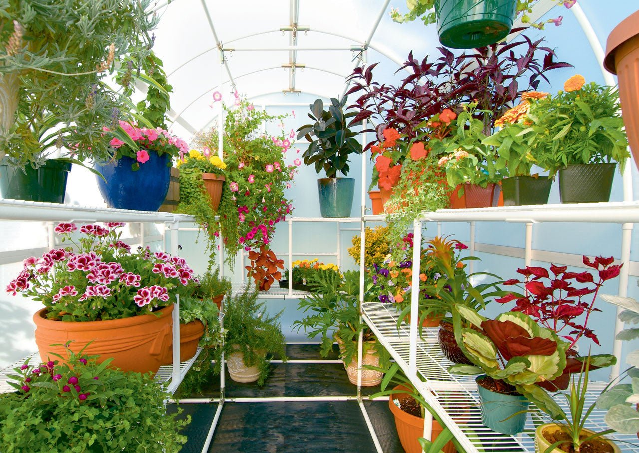 Solexx Gardener's Oasis Greenhouse Kit 8'x8'