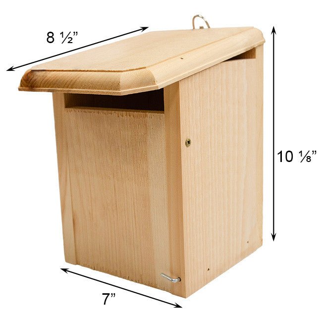 Sparrow-Resistant Bluebird House Western Bluebird