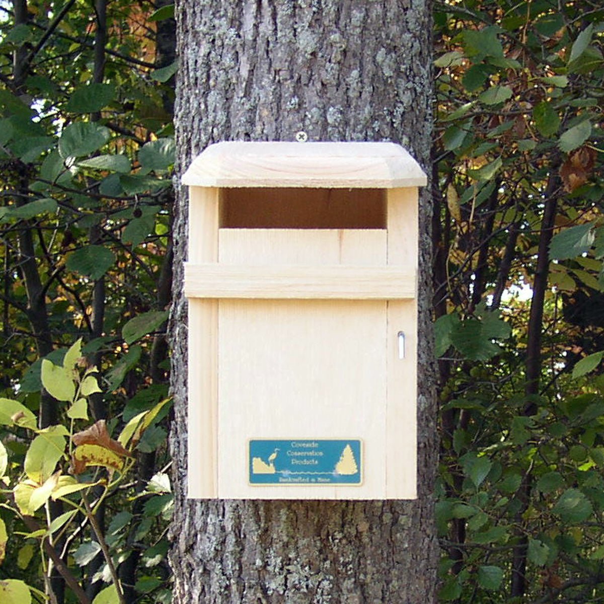 Sparrow-Resistant Bluebird House Western Bluebird