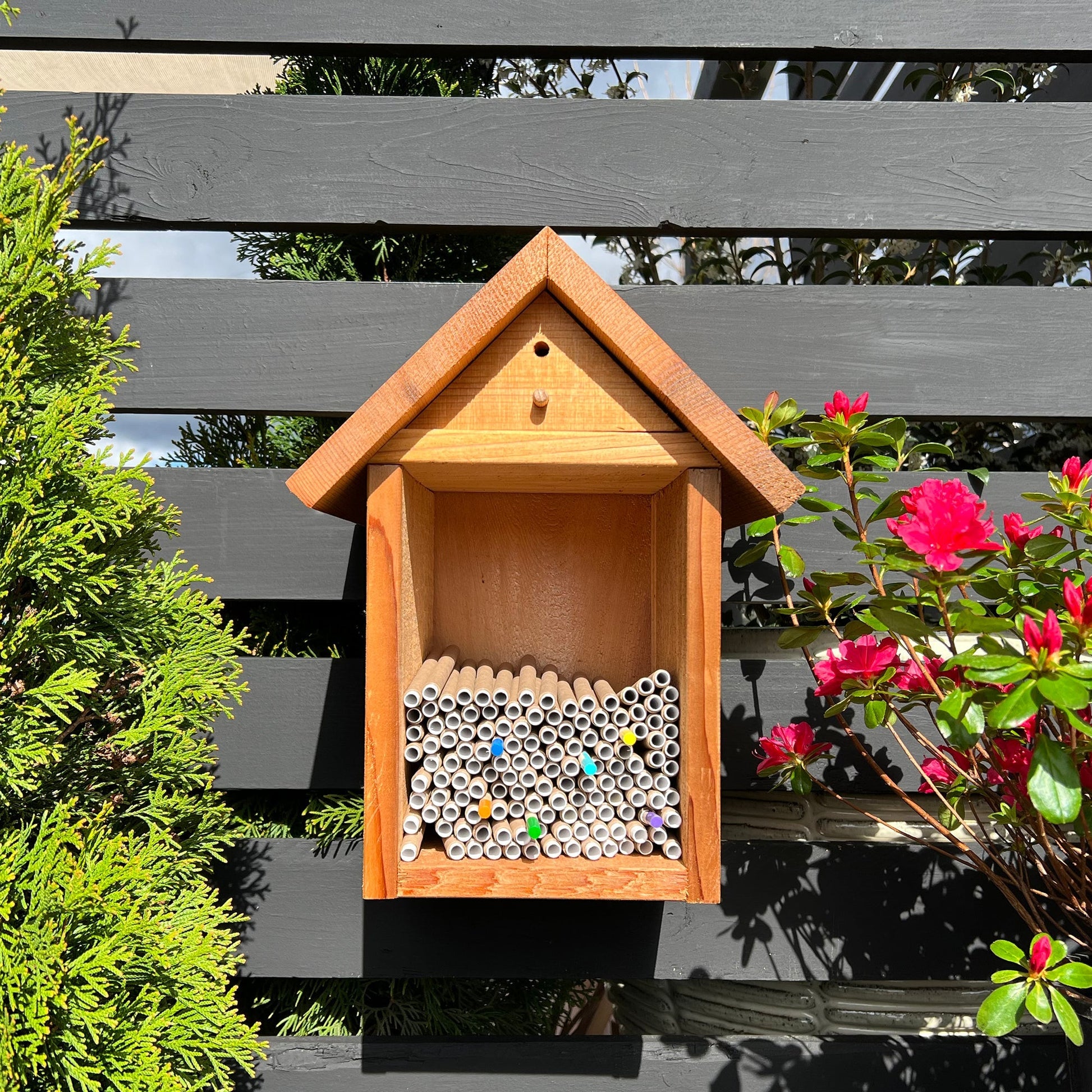 Spring Cardboard BeeTubes and Inserts for Mason Bees - 8mm 36