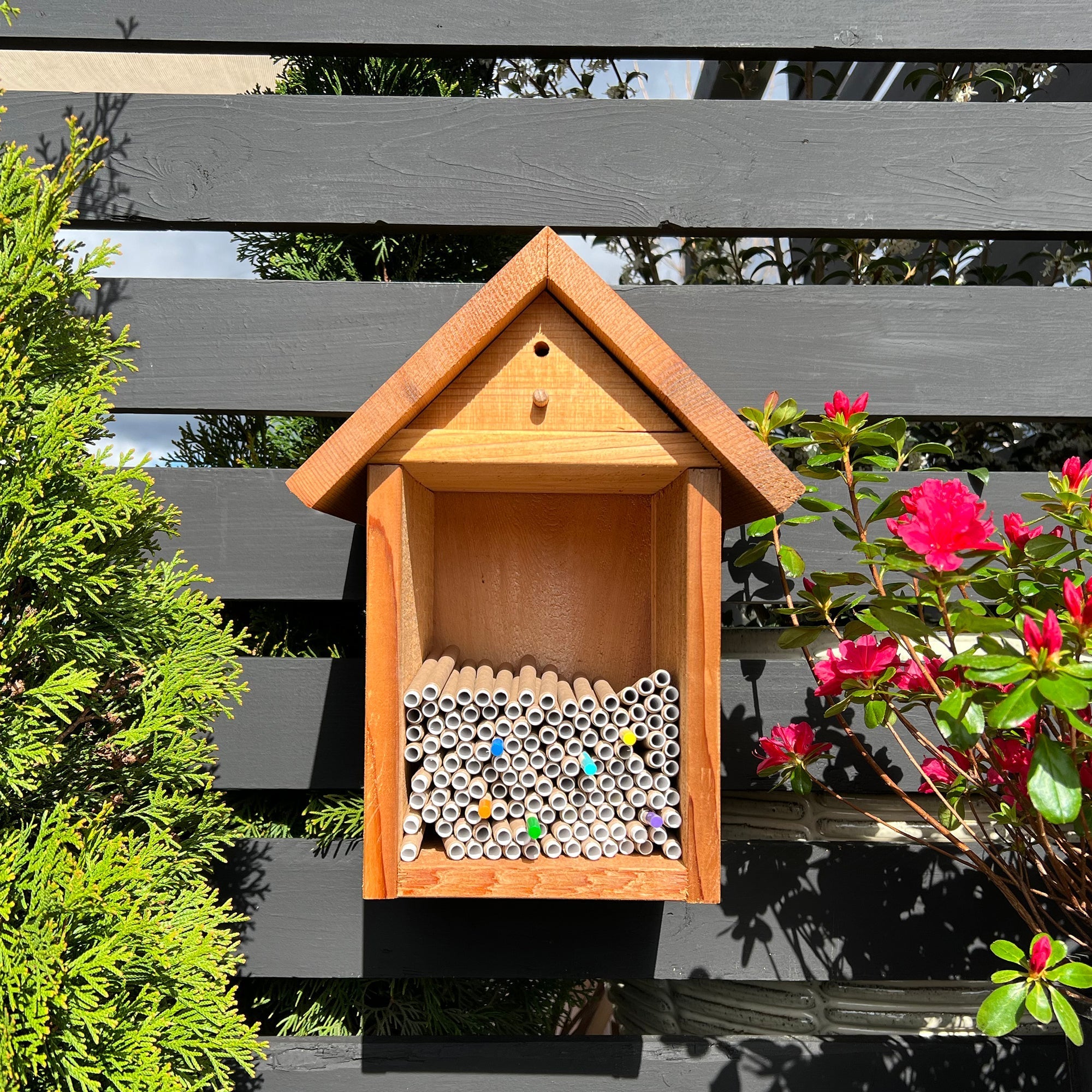 Spring Cardboard BeeTubes and Inserts for Mason Bees - 8mm 36