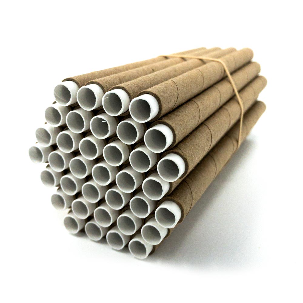 Spring Cardboard BeeTubes and Inserts for Mason Bees - 8mm 36