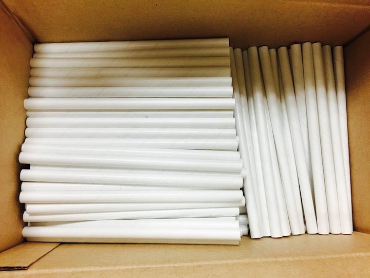 Spring Inserts for Mason Bees - 8mm 60