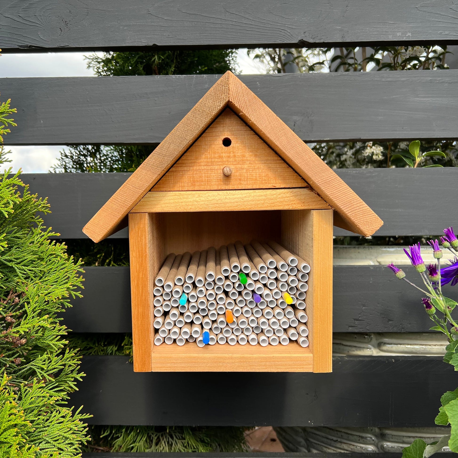Spring Inserts for Mason Bees - 8mm 60