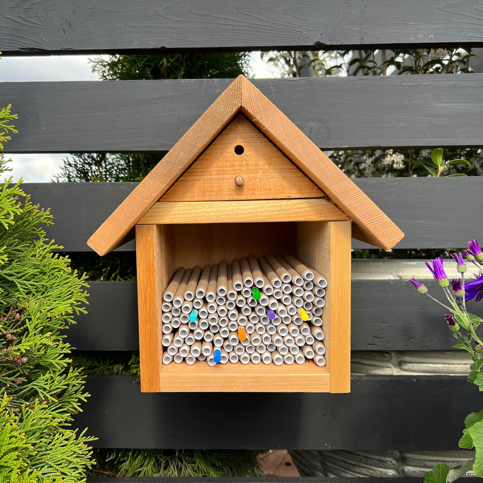 Spring Inserts for Mason Bees - 8mm 60