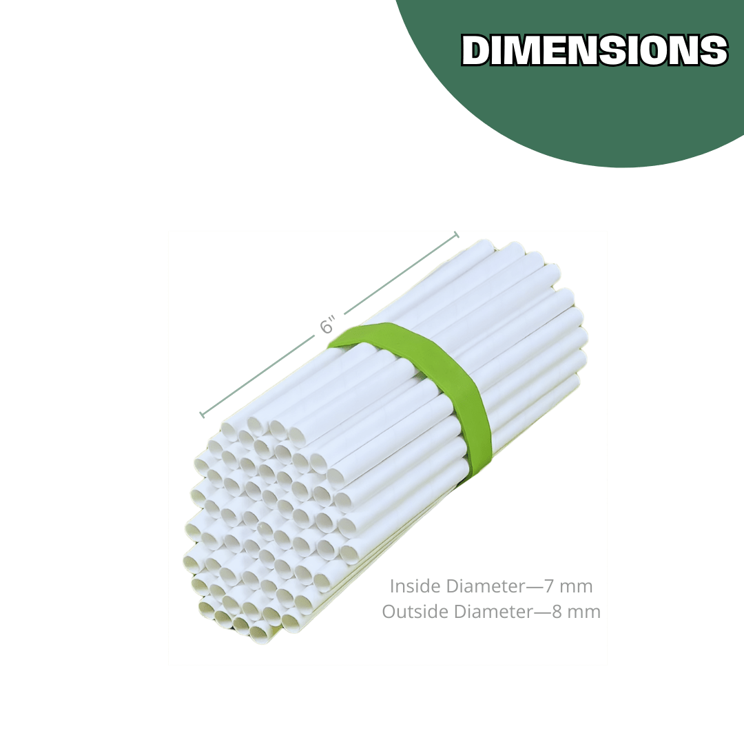 Spring Inserts for Mason Bees - 8mm 60