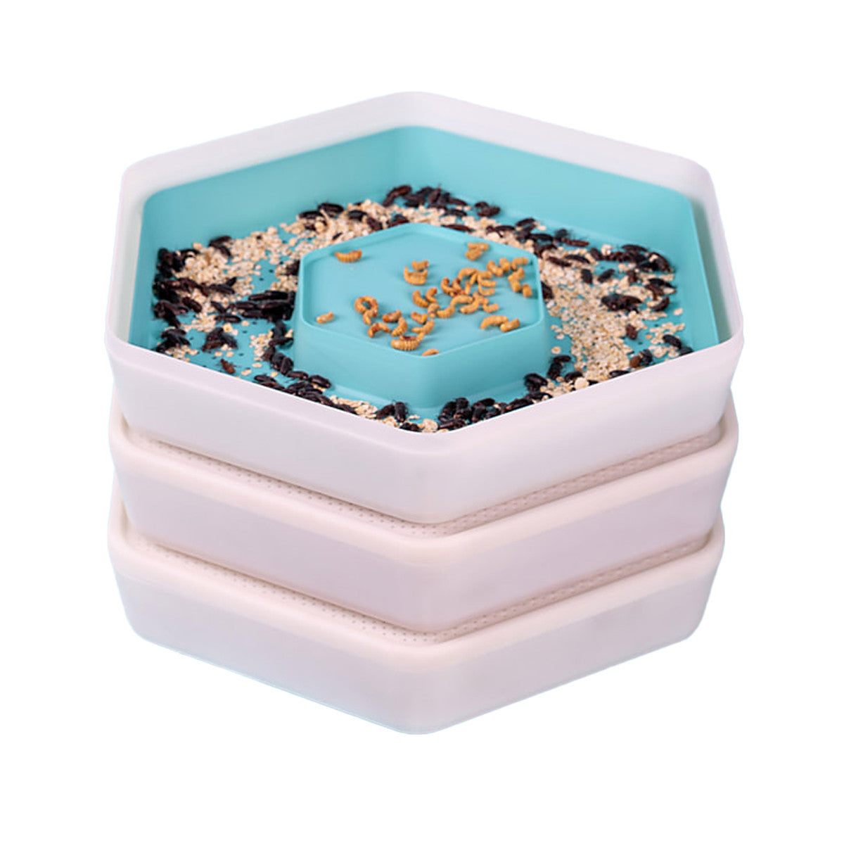 Bug Factory Mealworm Habitat & Composter