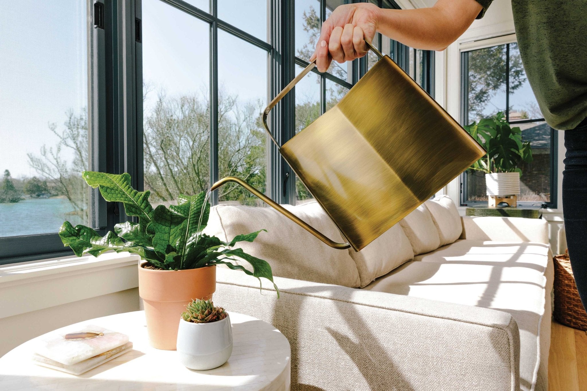 Stainless Steel Watering Can - 3L Slim Design Brass option3