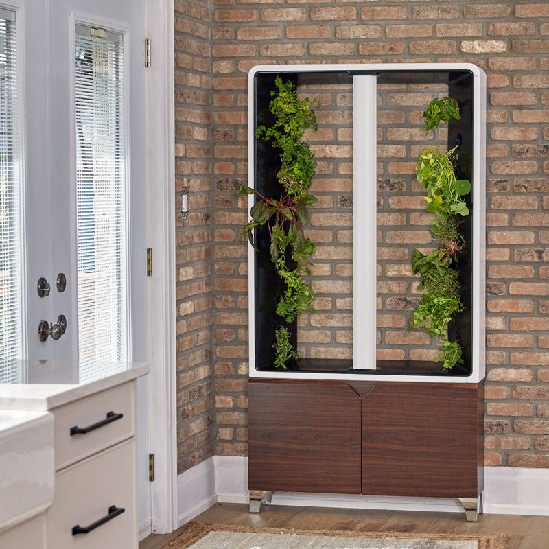 The Aeva - Indoor Vertical Hydroponic Garden System walnut option3