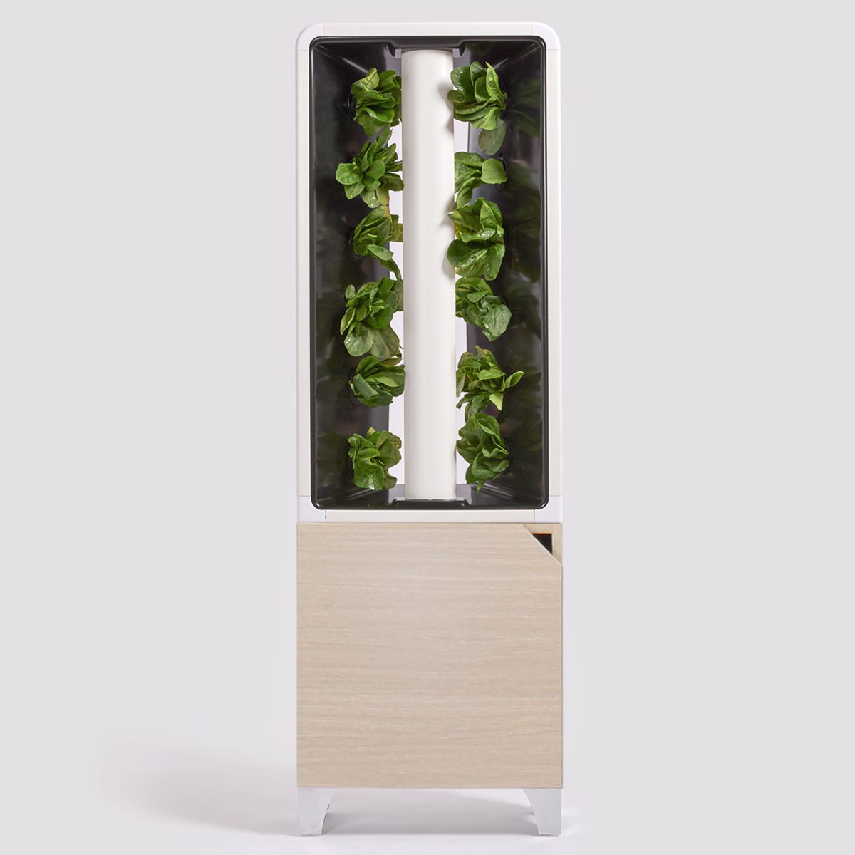 The Eve - Indoor Vertical Hydroponic Garden System oak