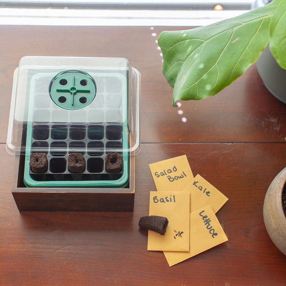 The Eve - Indoor Vertical Hydroponic Garden System walnut