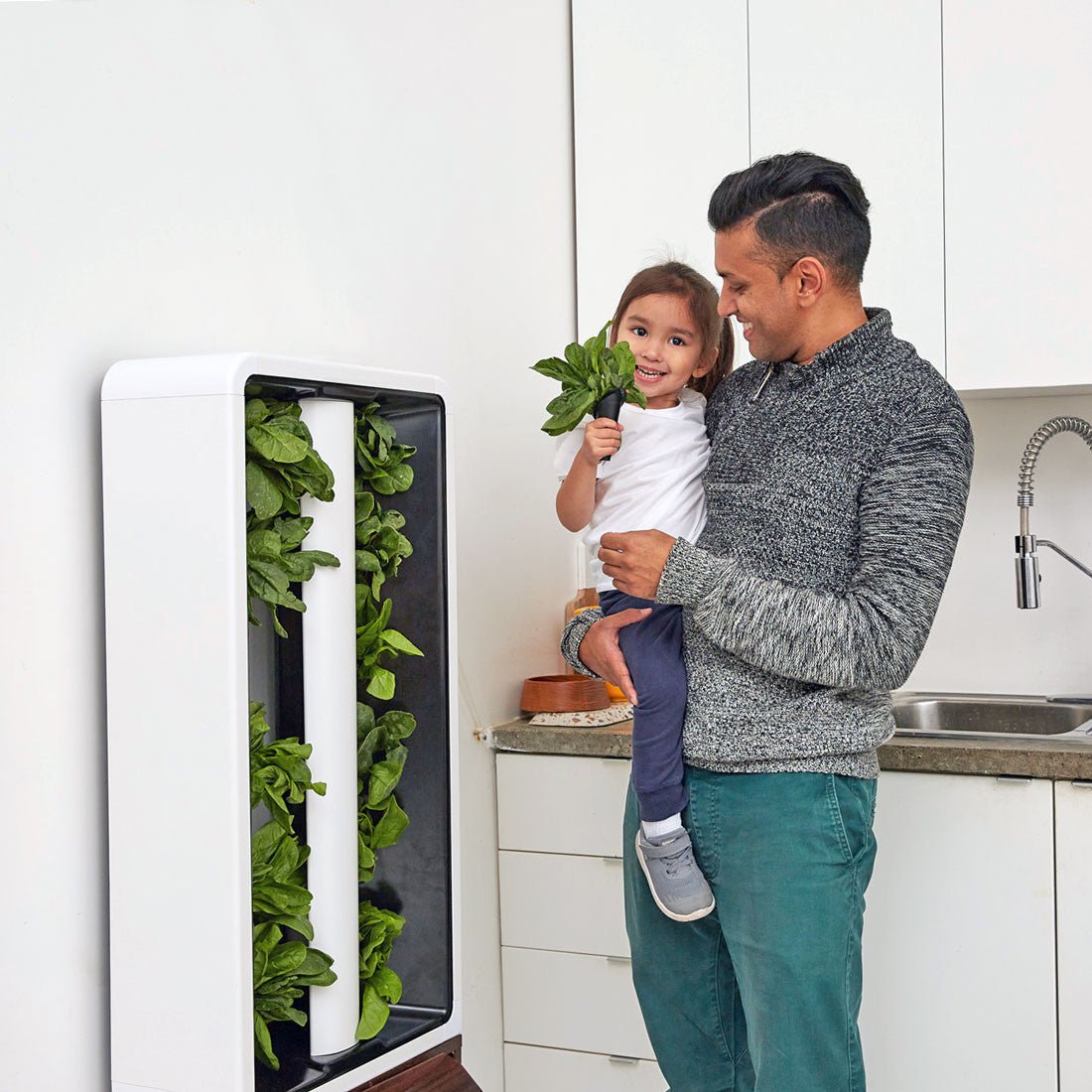 The Eve - Indoor Vertical Hydroponic Garden System walnut