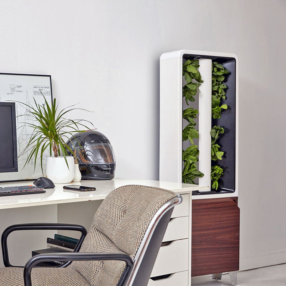 The Eve - Indoor Vertical Hydroponic Garden System walnut