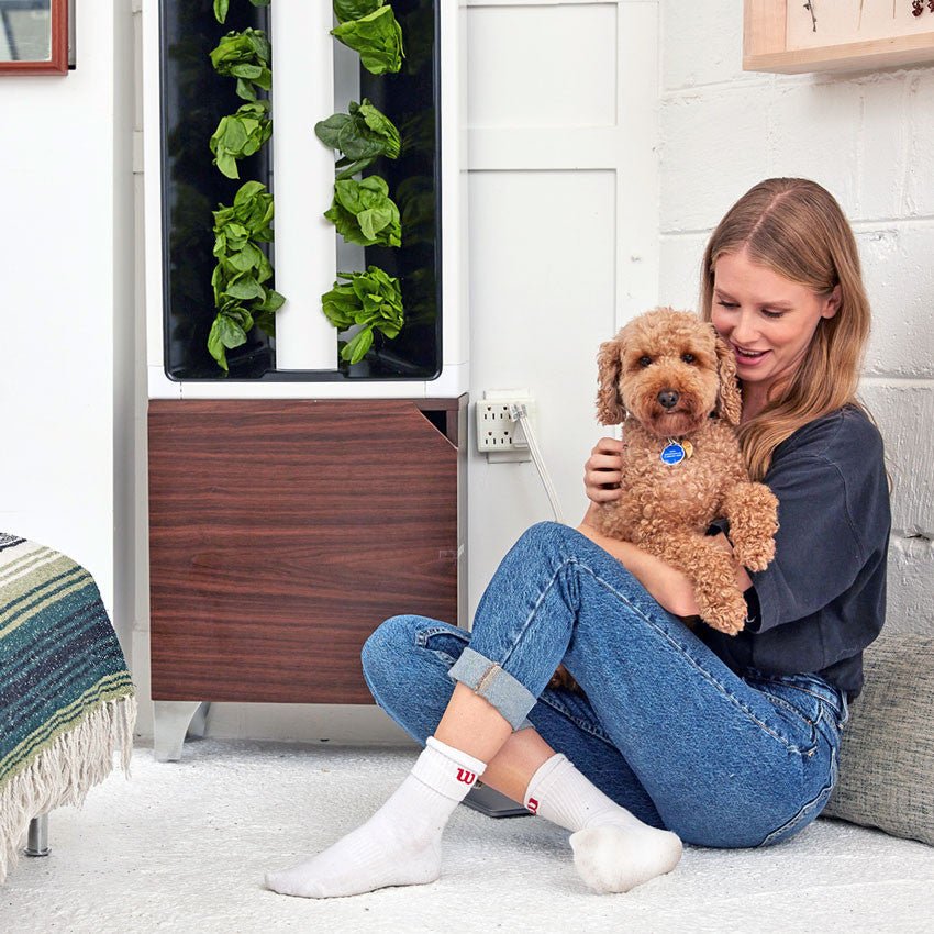 The Eve - Indoor Vertical Hydroponic Garden System walnut