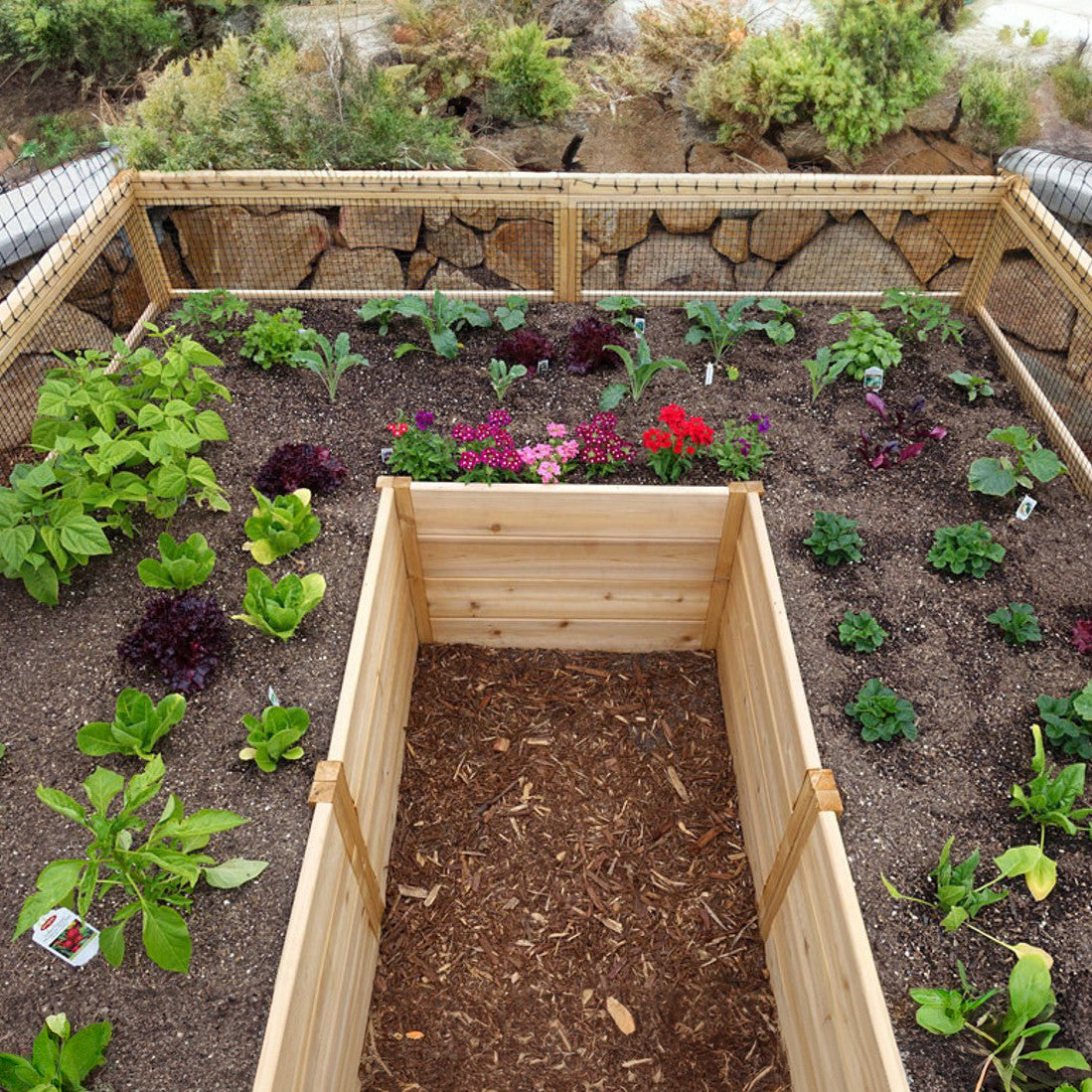 Cedar Complete Raised Garden Bed Kit - 8' x 8' x 20"