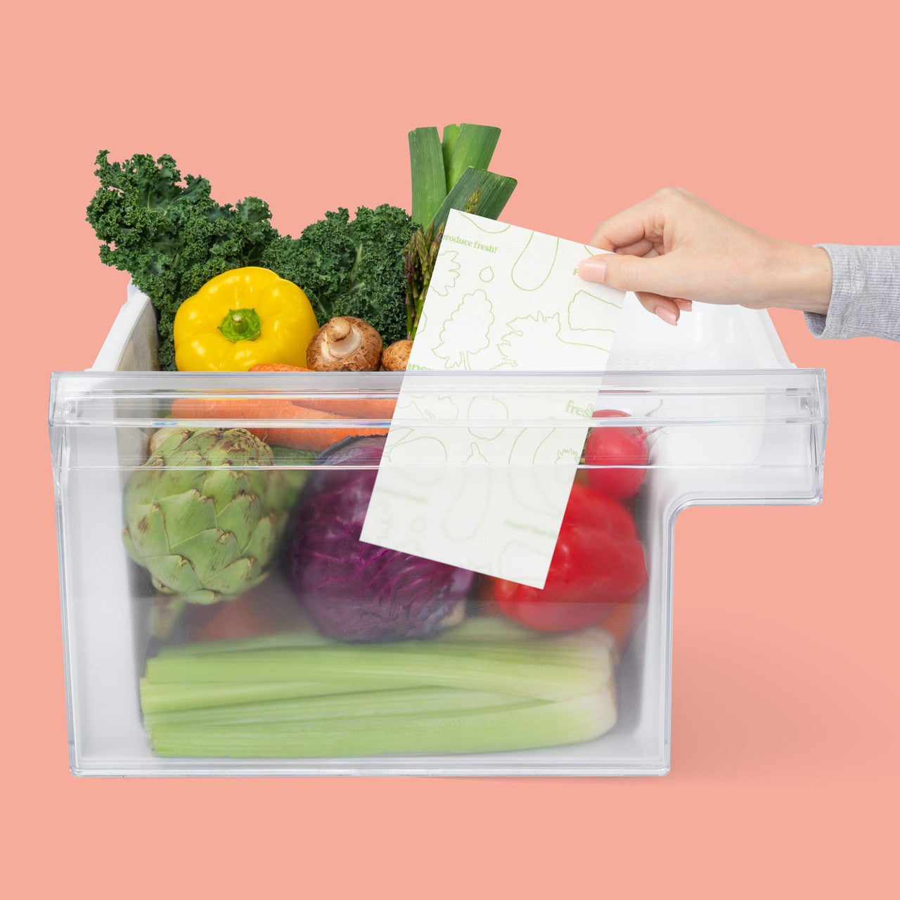 FreshPaper Produce Saver