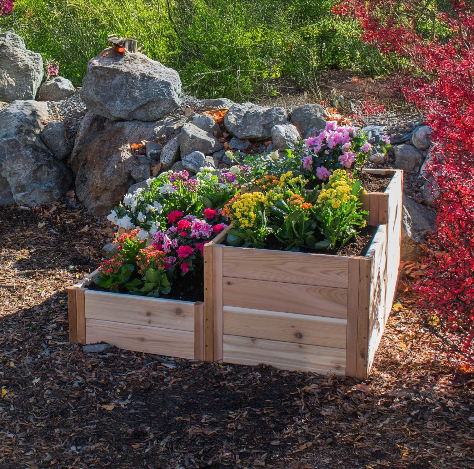 Tiered Corner Cedar Garden Bed 3.5' × 4'