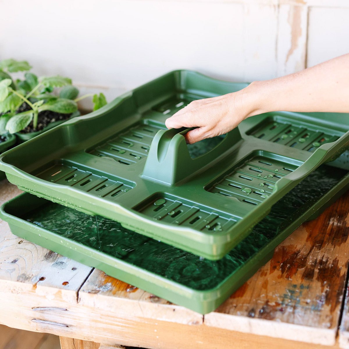 Ultimate Seed Starting Kit 1 Tray - Terracotta