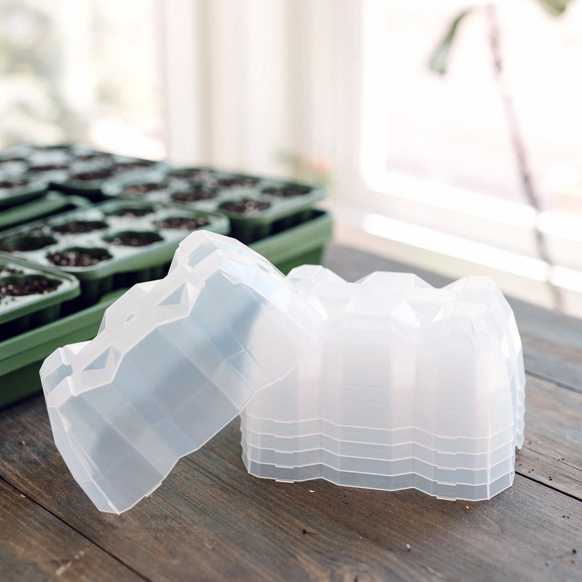 Ultimate Seed Starting Kit 1 Tray - Terracotta