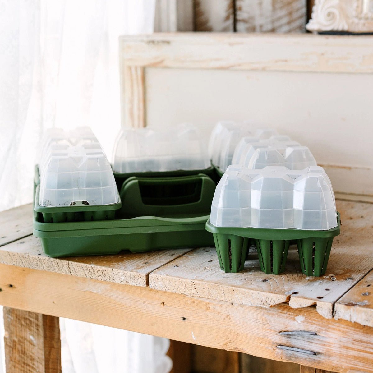 Ultimate Seed Starting Kit 1 Tray - Terracotta