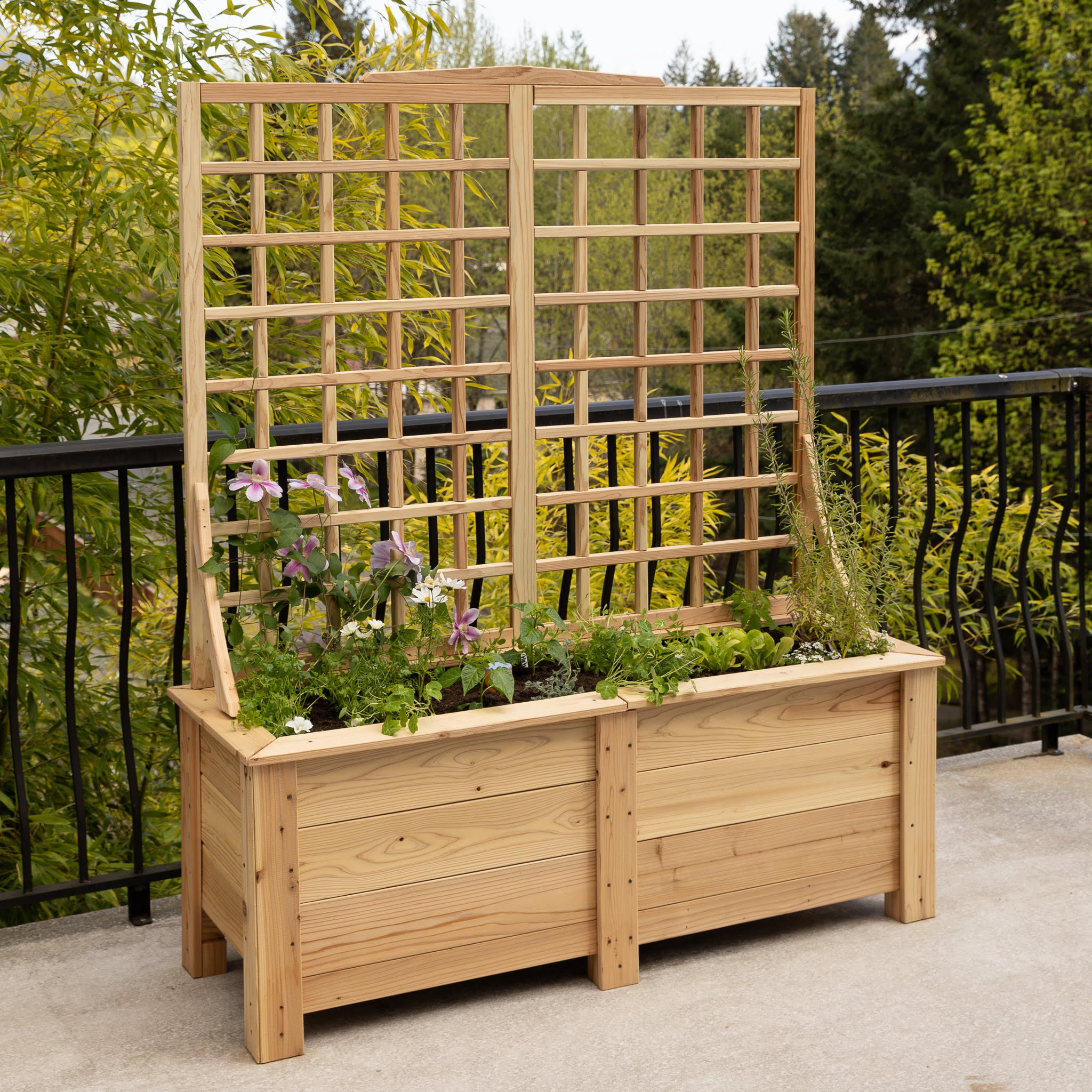 Natural Cedar Planter Box with Trellis