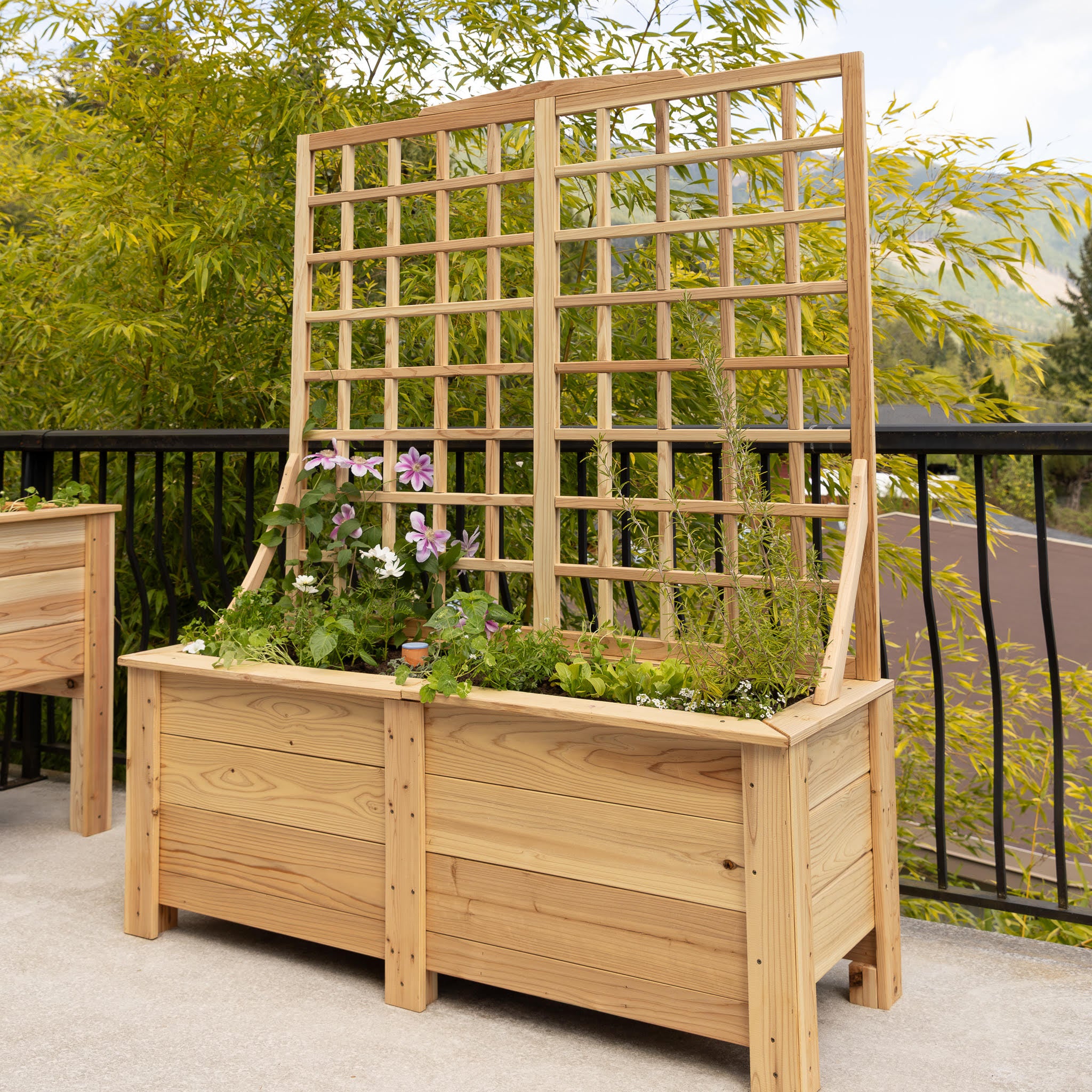 Natural Cedar Planter Box with Trellis