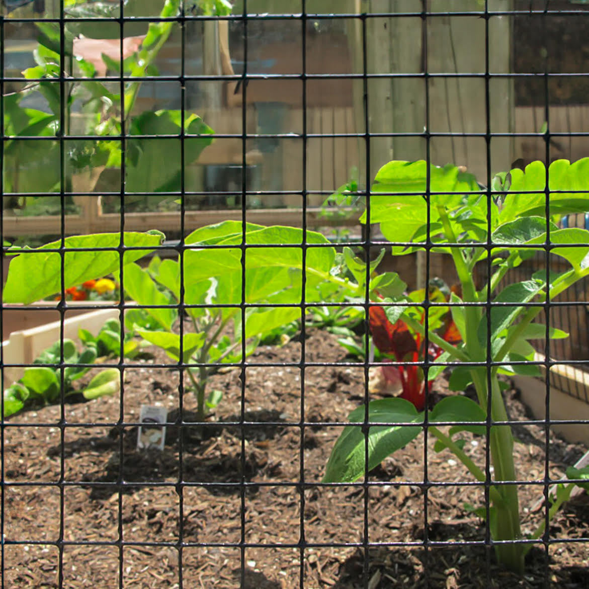 Deer Proof Cedar Complete Raised Garden Bed Kit - 8' x 12'