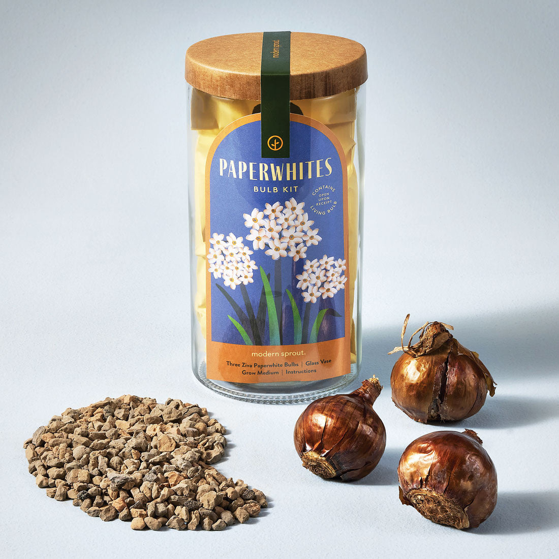 Paperwhites Winter Bulb Kit