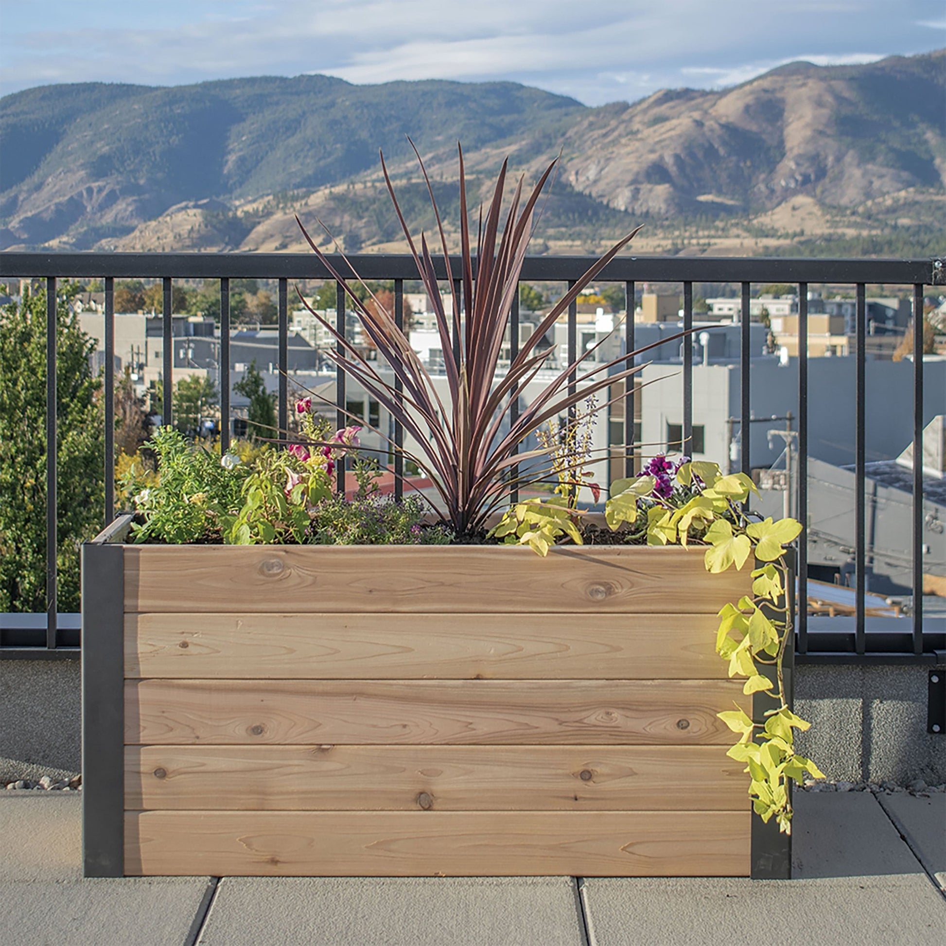 Urban Raised Garden Bed Planter 1.5' x 4'