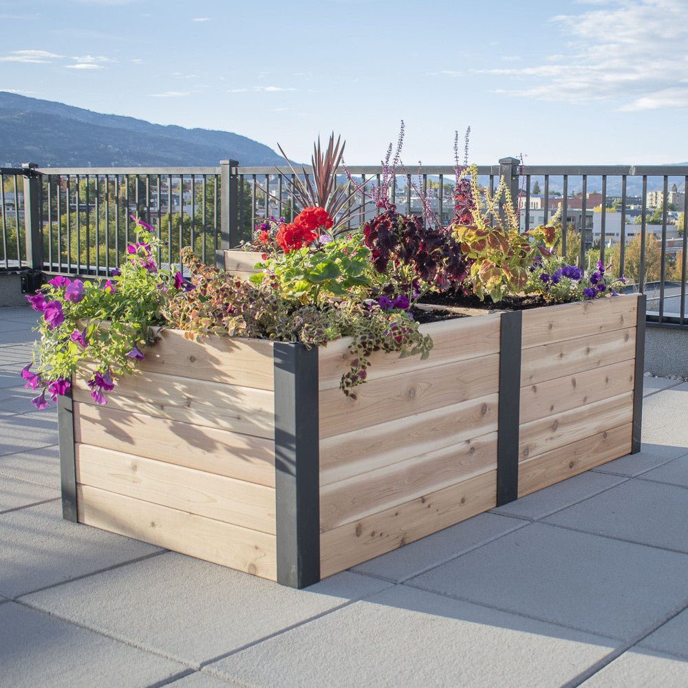 Urban Raised Garden Bed Planter 3' x 6'
