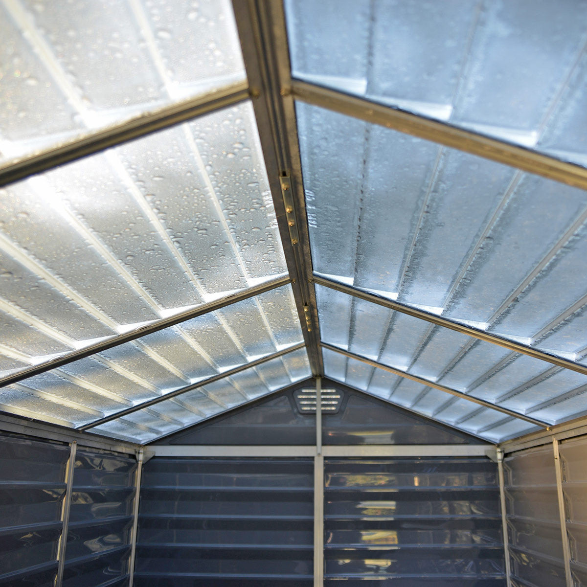 Roof panels allow diffused, natural light into the shed.