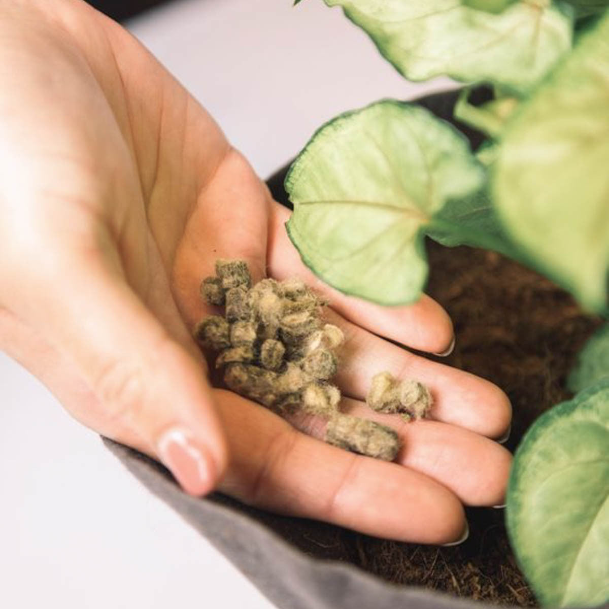 Organic Wool Garden Pellets Slow Release Fertilizer 9-0-2 - 22 lbs