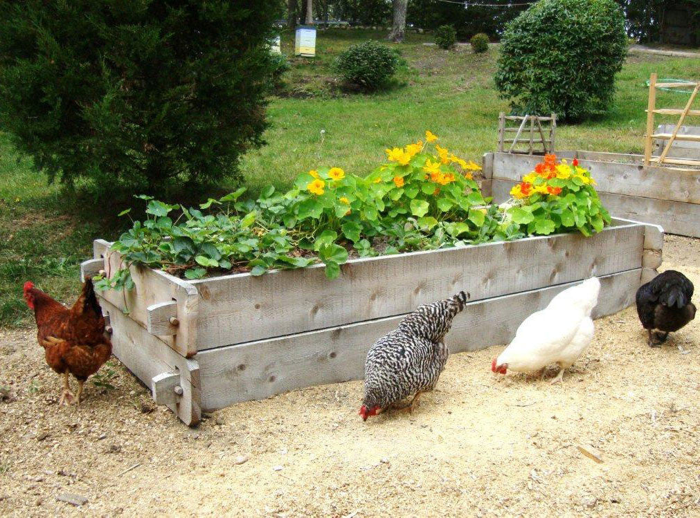 Farmstead Raised Garden Bed