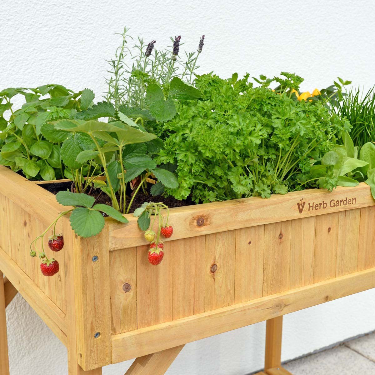 VegTrug Herb Planter - Natural Wood