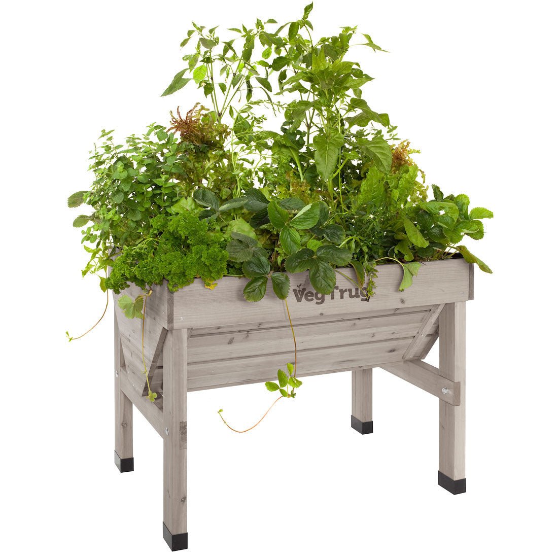 VegTrug Raised Garden Planter - Grey Small
