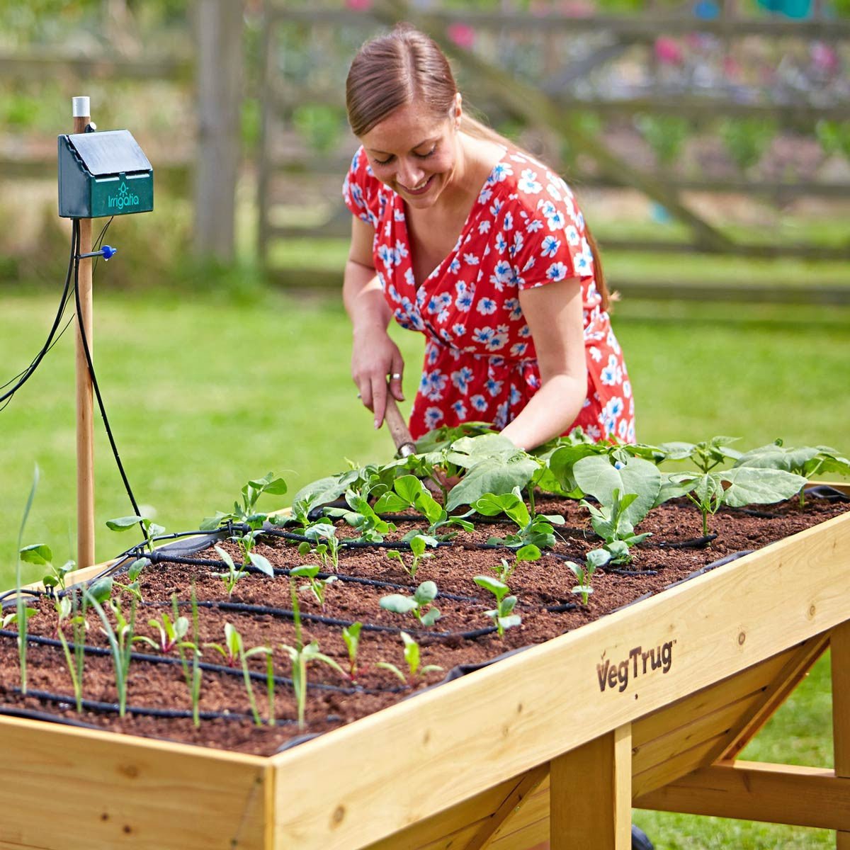 VegTrug Raised Garden Planter - Natural Wood Medium