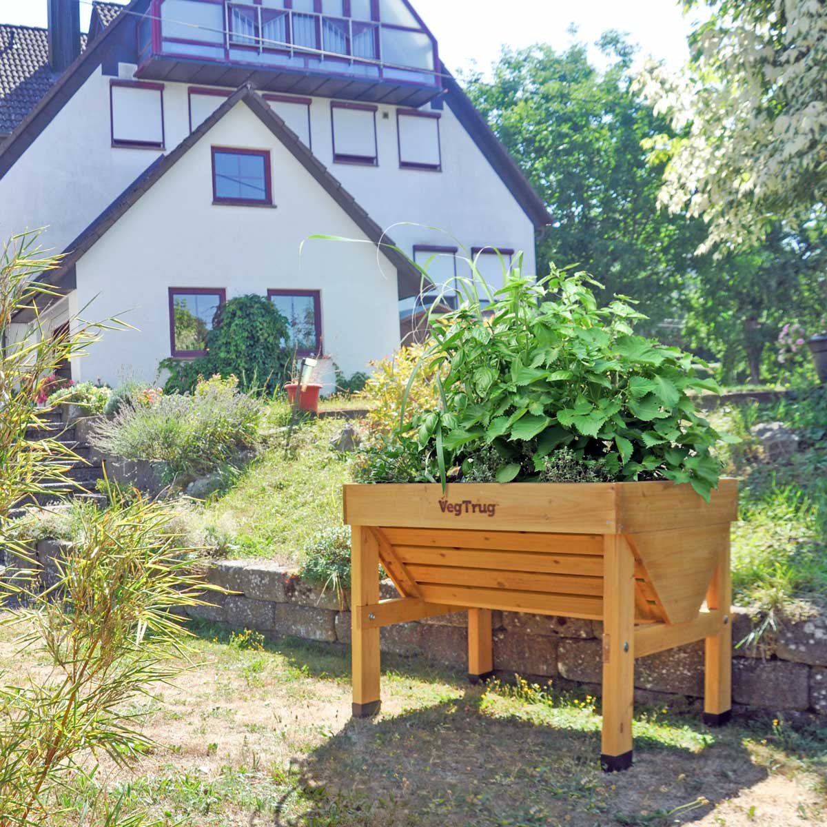 VegTrug Raised Garden Planter - Natural Wood Small