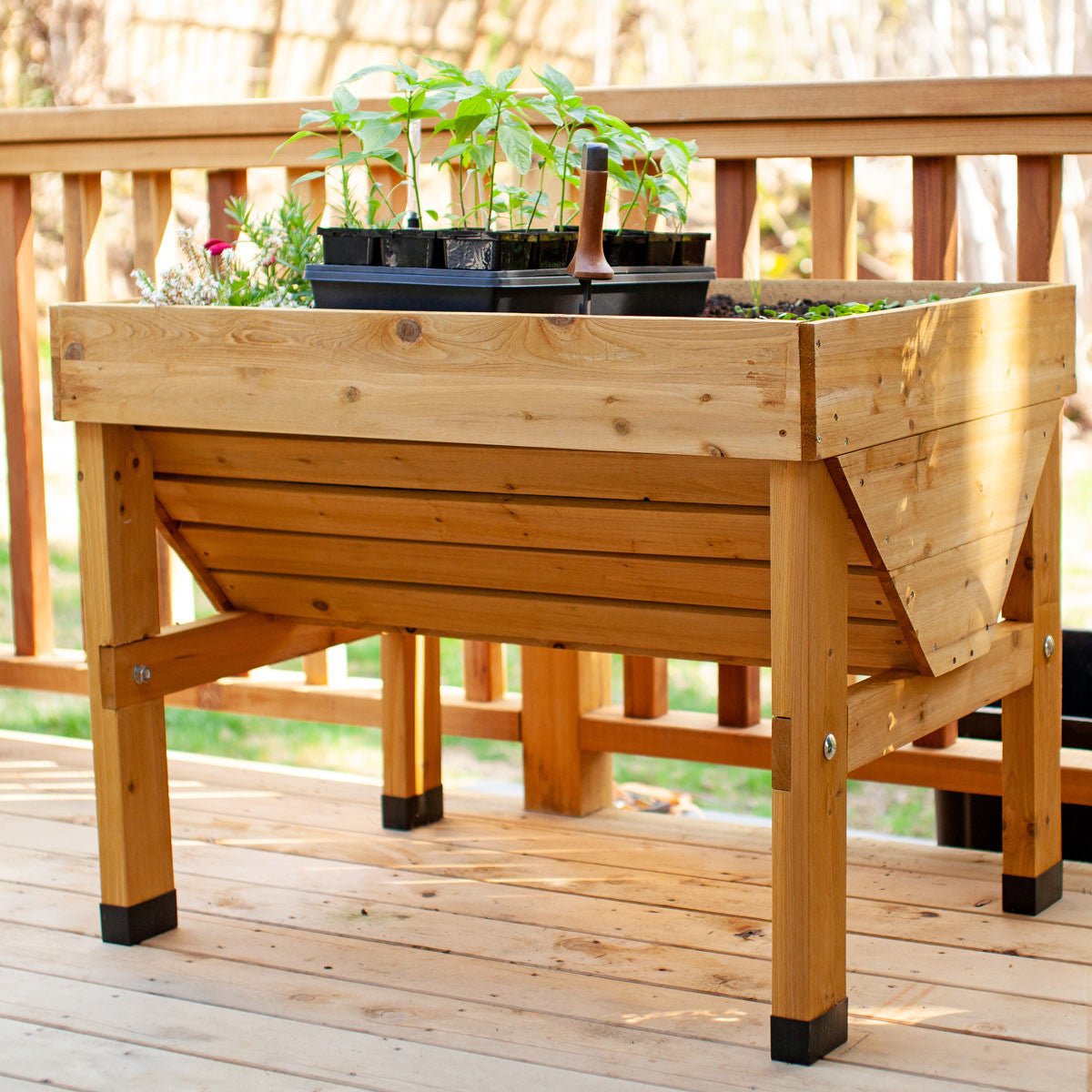 VegTrug Raised Garden Planter - Natural Wood Small