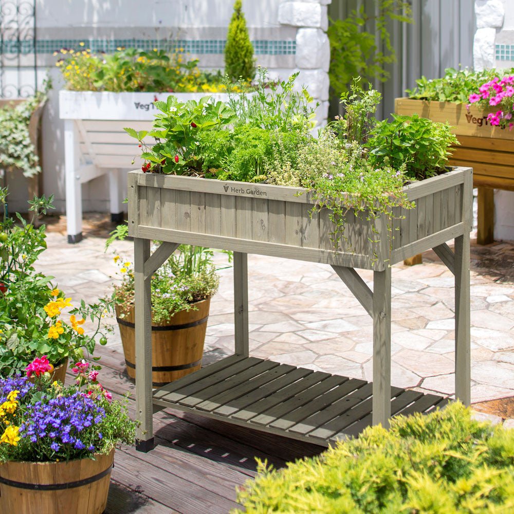 VegTrug Raised Herb Garden Planter - Grey