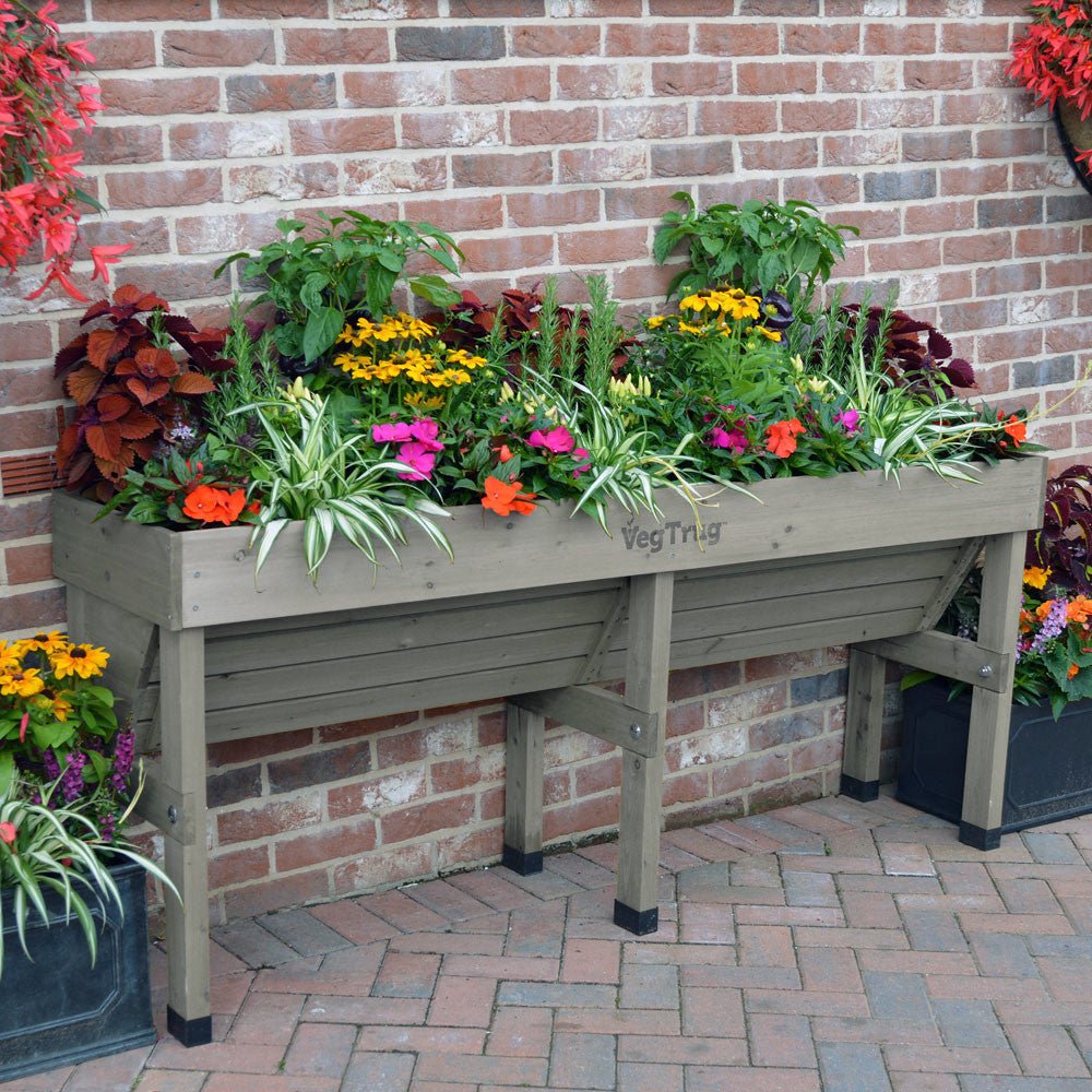 VegTrug Wallhugger Raised Garden Planter - Grey Medium