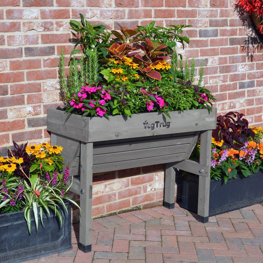 VegTrug Wallhugger Raised Garden Planter - Grey Small