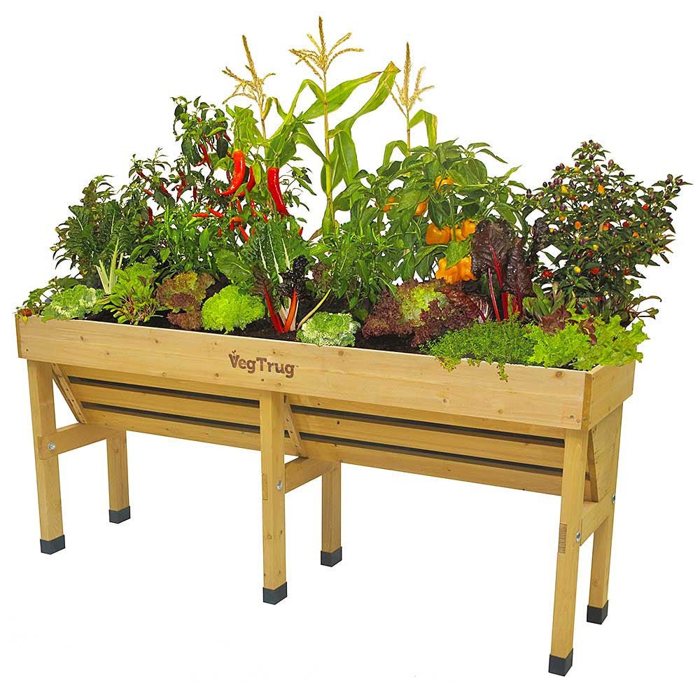 VegTrug Wallhugger Raised Garden Planter - Natural Wood Small