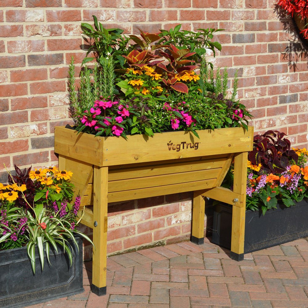 VegTrug Wallhugger Raised Garden Planter - Natural Wood Small