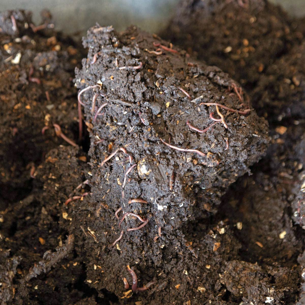 VermiFlow Continuous Flow Composting System - 14 Cubic Feet