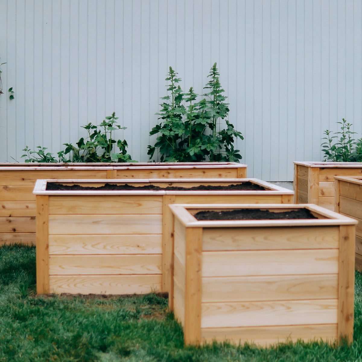 Natural Cedar Raised Garden Beds