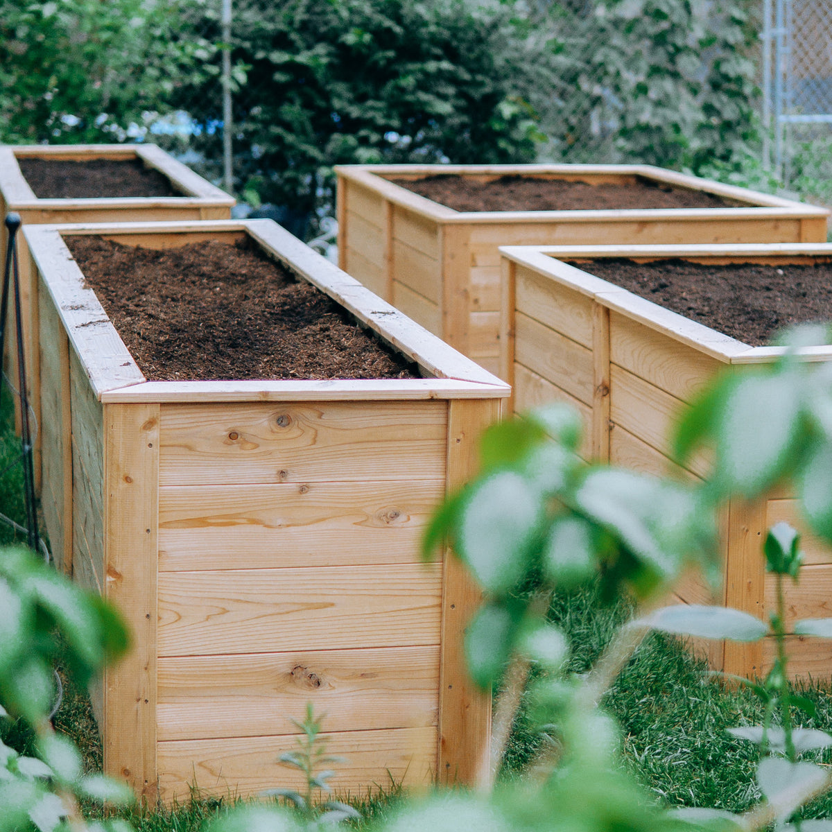 Natural Cedar Raised Garden Beds