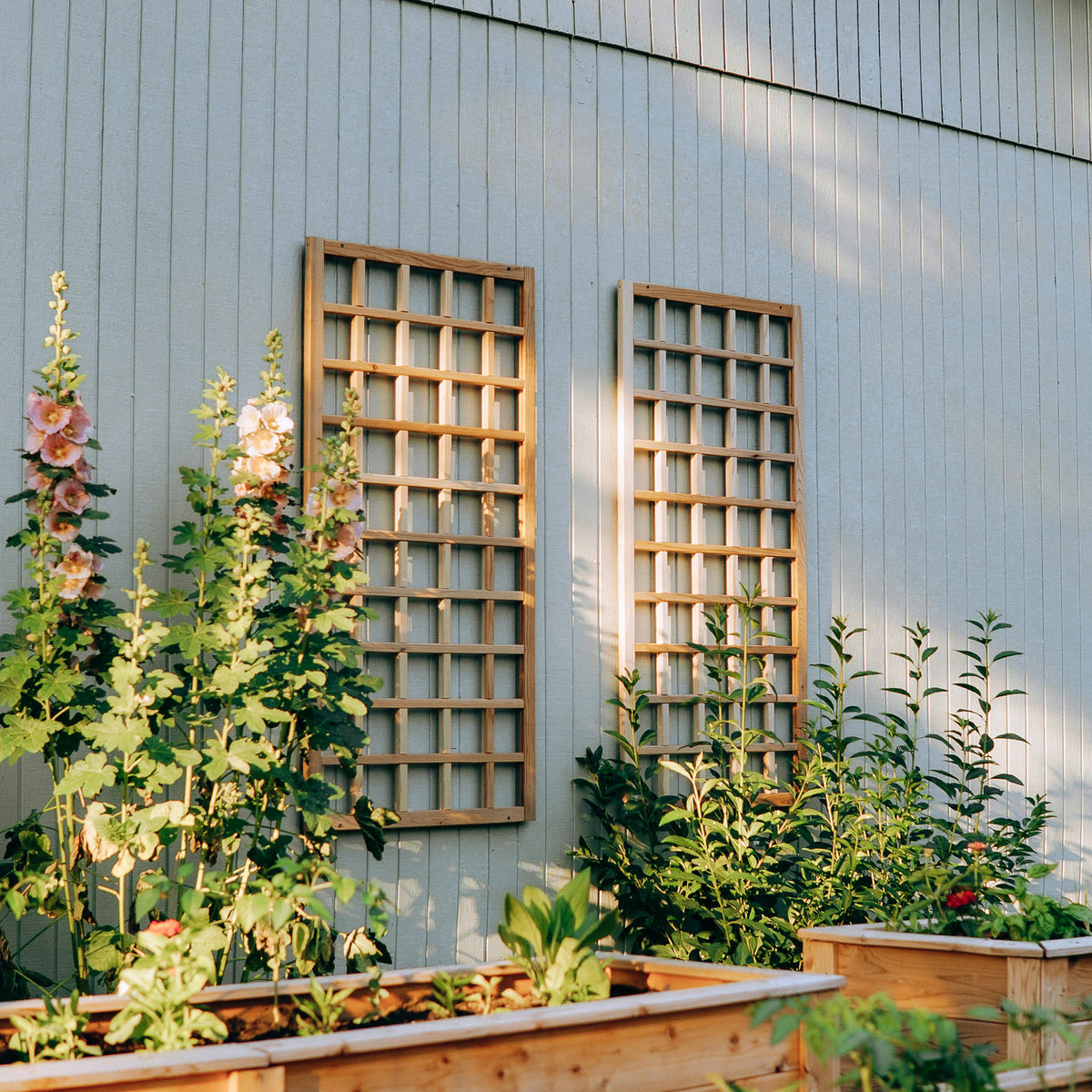 Natural Cedar Wall Mounted Trellises