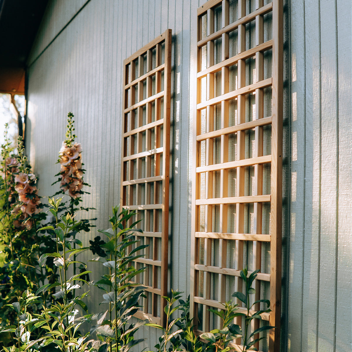 Natural Cedar Wall Mounted Trellises