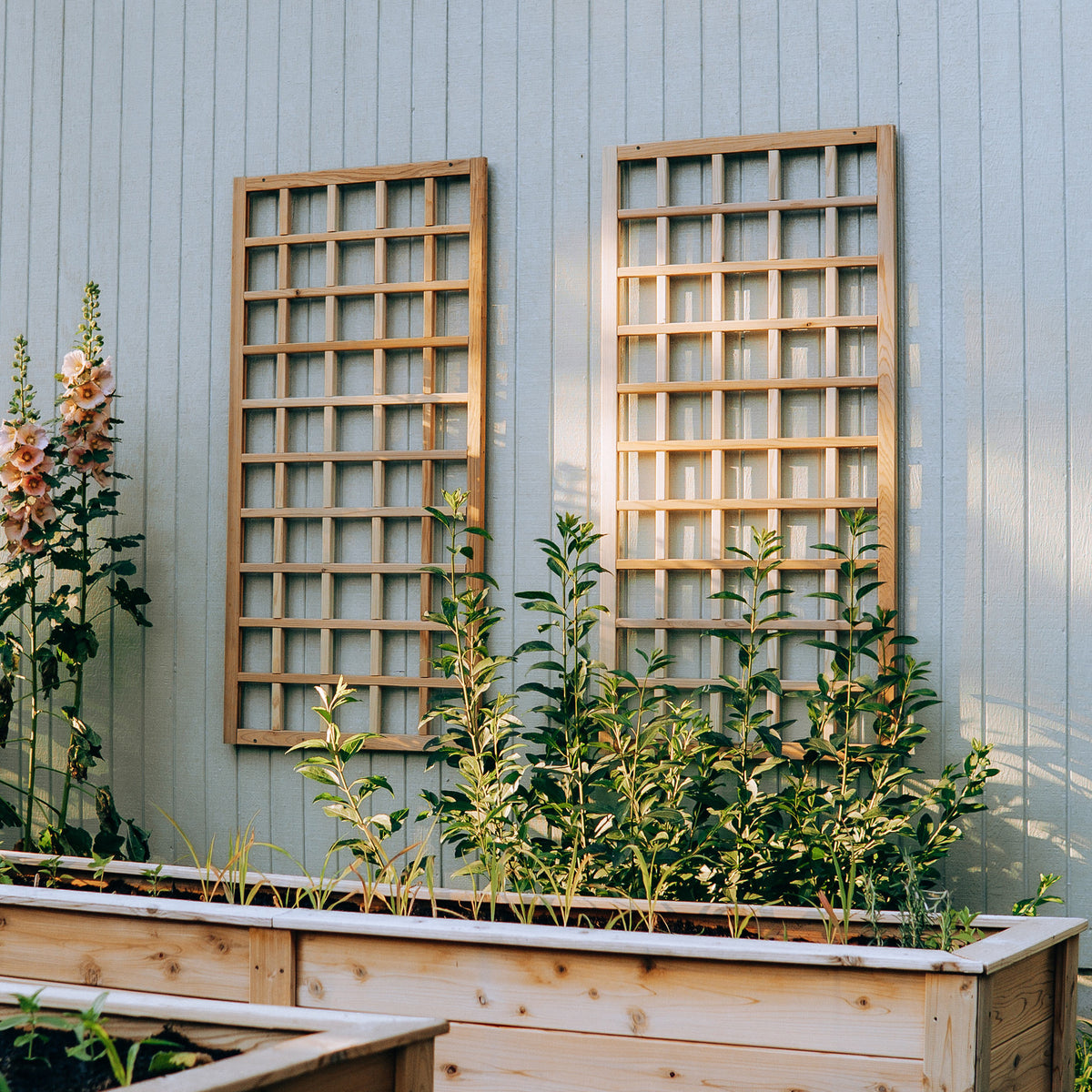 Natural Cedar Wall Mounted Trellises