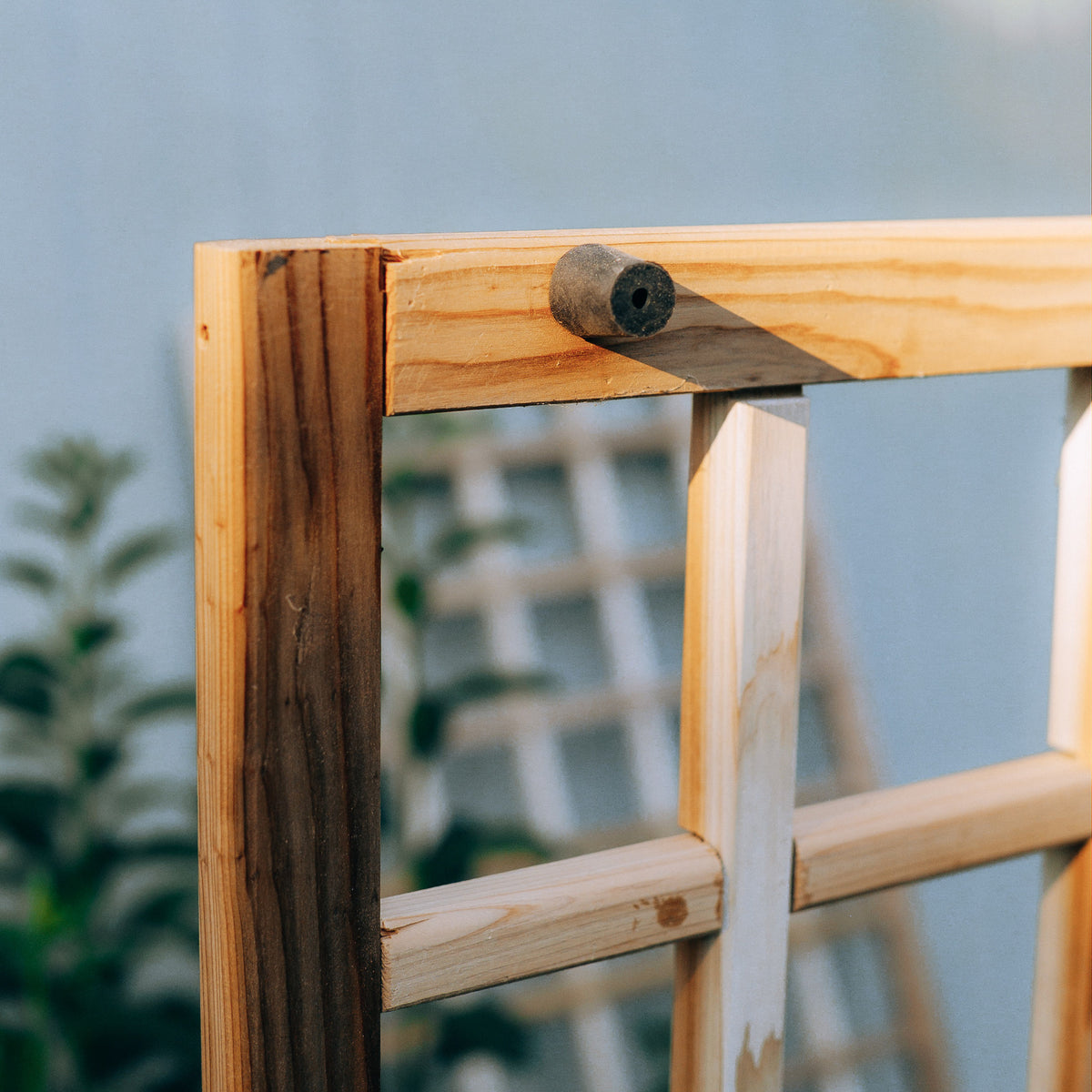 Natural Cedar Wall Mounted Trellises